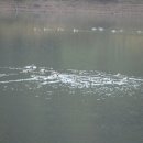 서정마을~서정저수지 이미지