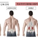 현수한의원 이미지