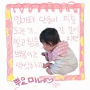개미미용실 이미지