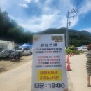난정저수지 | 강화도 교동 난정저수지 해바라기 축제 다녀온 후기