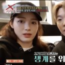 고최고기