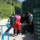 종화농장 이미지