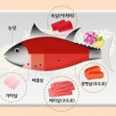본참치 이미지