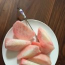 영덕싱싱농원 이미지