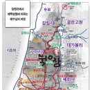 갈릴리 티스토리