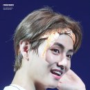 LYS 이미지