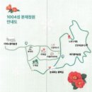 12/30(화)애기동백꽃축제 고하도 트레킹 케이블카 선택 (신안/목포)출발06시25분 이미지