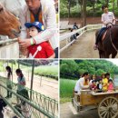 한터농장 이미지