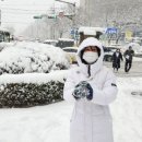 전주 꽃밭정이4거리 송이눈 내리다(12.17) 이미지