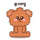 무드몽 이미지