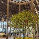 구름이 쉬는 나무 | 나트랑 아나만다라 깜란 리조트 조식 수영장 이용후기 내돈내산