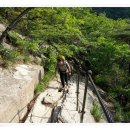 20140517~18-북한산 산행(독바위역에서 백운대,인수야영장)과 도봉산 산행(인수야영장에서 영봉,우이동 우이암거쳐 보국능선 하산)-3 이미지