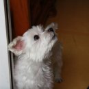 수혁농장 이미지