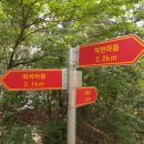 척현 이미지