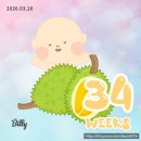 백균약품 | 산본제일병원 34주 35주차진료 임산부 일상 (균검사 배크기 태동)