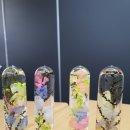 창의력 놀이아트 네이버블로그