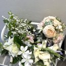 아우름 | 촬영드레스투어 솔직 후기｜더아우름·폴라리스·이브스더데이 비교 정리