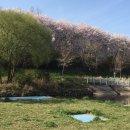 제2회 봄 페스티벌 이미지