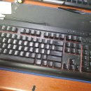 수원-0036 이미지