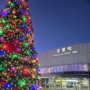 꼬꼬닭집 | 크리스마스 당일! 강릉중앙시장 크리스마스 겨울축제 방문 후기