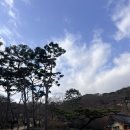 자연가 - 천안시 서북구 미라15길 23 | 주말에 가기 좋은 곳, 바다도 보고 산책도 하는 강화도 전등사 방문 후기