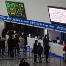 티모아 이미지