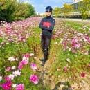 명태덕장 이미지