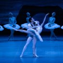 국립발레단 ’백조의 호수’ 이미지