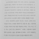 낭만고양이