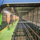 도이 | 치앙마이 도이수텝 사원 후기 | 입장료·동선·소요시간·푸니쿨라 총정리