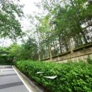 은천동-40 이미지