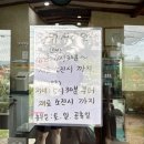 사람과터전 | [부여] 현지인 추천 맛집, 청국장과 돼지두루치기가 찰떡이었던 터전식당 후기