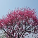 우포2로 이미지