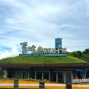 꽃담정원 | [제주도 성산 꽃담수제버거]제주 성산 맛집 추천, 꽃담 수제버거에서 즐긴 흑돼지버거 후기