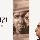 석장리박물관10 이미지