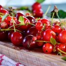 체리의향기 이미지