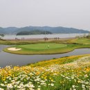 다산베아채골프앤리조트 이미지