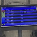 세부 막탄공항 → 오슬롭 고래상어 자유여행 총정리 (남부터미널 세레나버스 가격 이용 팁!)