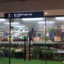 강남터미널 네이버블로그