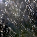 지리산청산별곡 이미지