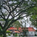 초원골프연습장 | 필리핀 클락 골프장 미모사 컨트리클럽 정규 라운딩 생생 후기