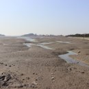 전곡산단로 이미지