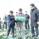 고산1리 경로당 | 제주도, 한경면 월동채소 현장 점검…새해 두 번째 민생 경청