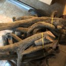 혜담한의원 이미지