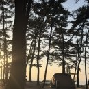 (주)오렌지이앤씨 | 변산반도 국립공원 고사포 2 야영장 캠핑 오션뷰 명당 후기