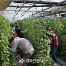 강구면사무소 이미지