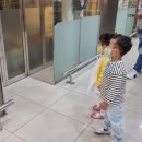 동요콘서트 구름빵 시즌2 이미지