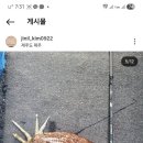 해영호