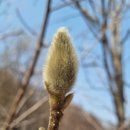 신사가든 이미지