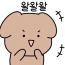 아띠라미 이미지